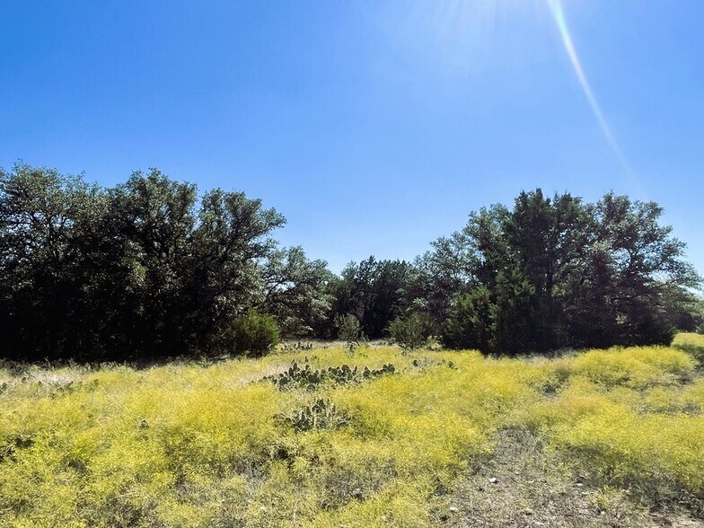 More Photos Of 1276 Farm to Market Road 574, Mullin Land For Sale