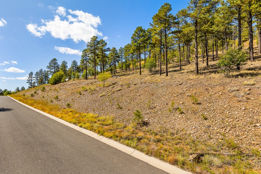 More Photos Of 1300 W Lower Coconino Ave, Flagstaff Land For Sale