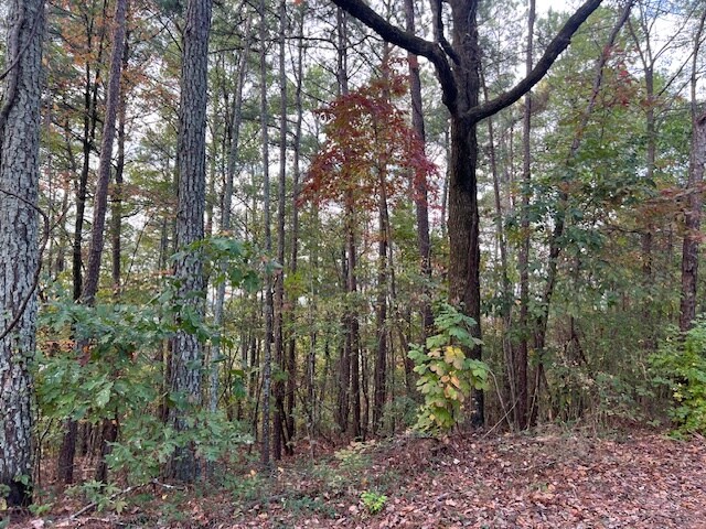 More Photos Of 100 Valley View Farm Rd SW, Cartersville Land For Sale