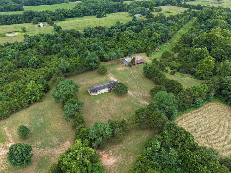 More Photos Of 29668 Farm Road 1268, Golden Land For Sale