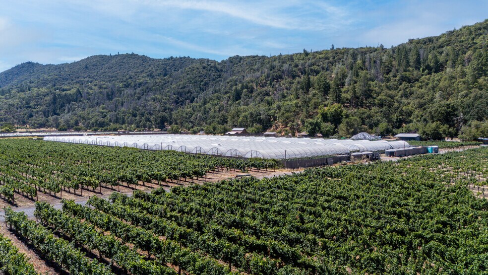 More Photos Of 2000 Clover Valley Rd, Upper Lake Land For Sale