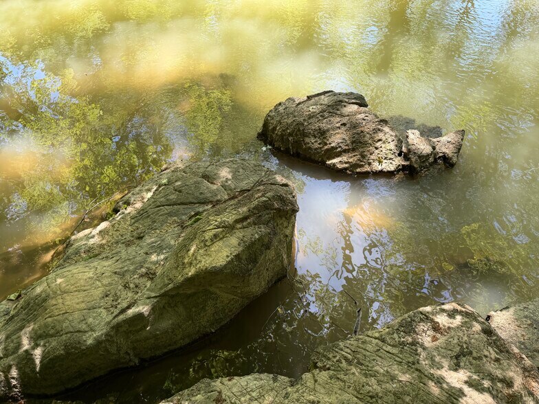 More Photos Of 1593 Old Alabama rd, Taylorsville Land For Sale