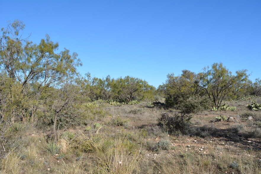 More Photos Of CR 1329, Paint Rock Land For Sale