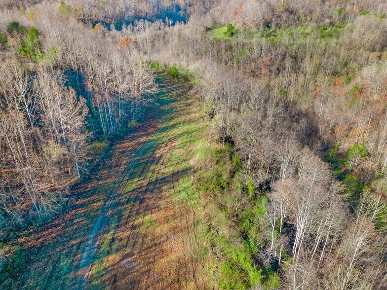 More Photos Of 1960 N US HWY 23, Paintsville Land For Sale