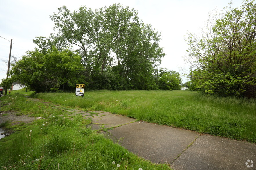 Primary Photo Of 436 Bellevue St, Detroit Land For Sale