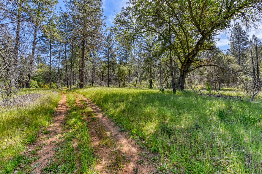 More Photos Of 0000 Upton Rd, Somerset Land For Sale