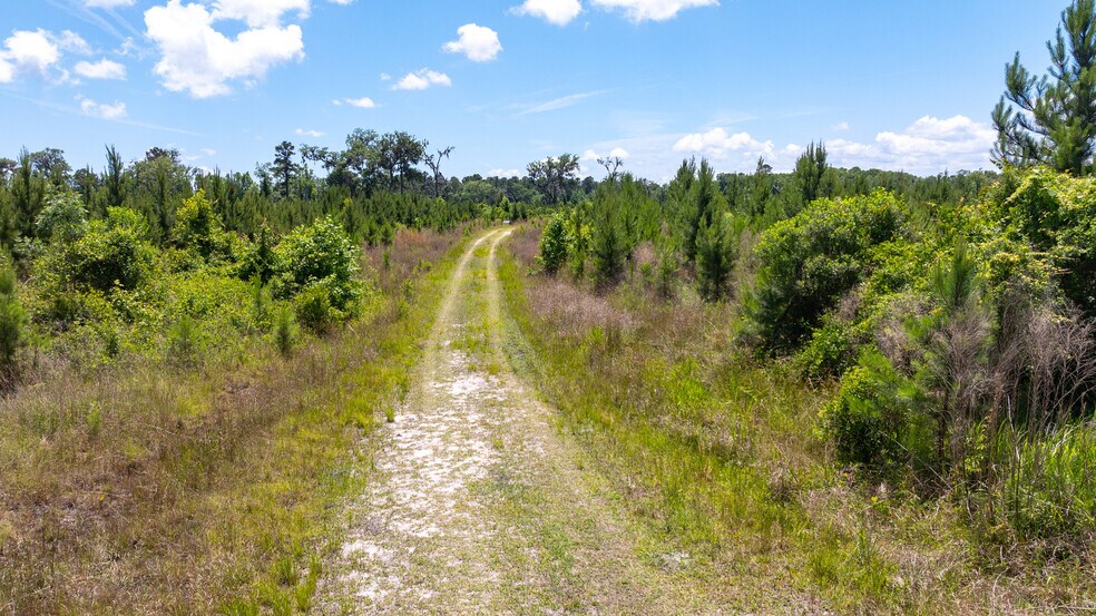 More Photos Of Kings Walk Residential Development, Brunswick Land For Sale
