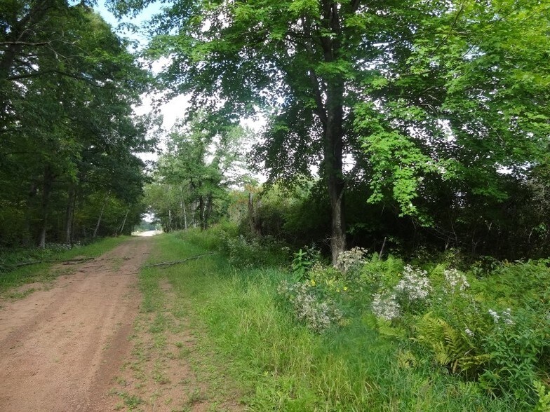 More Photos Of 4531 Park Rd, Mosinee Land For Sale