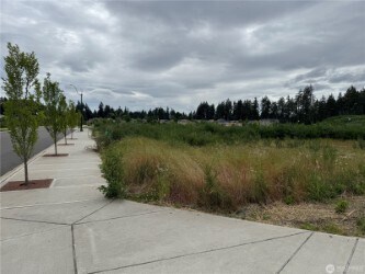 More Photos Of 2520 Park View St NE, Olympia Land For Sale