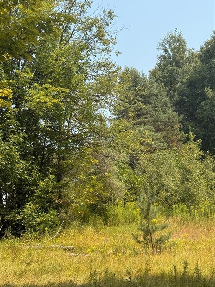 Primary Photo Of 3995 Boulter Rd, Boulter Land For Sale