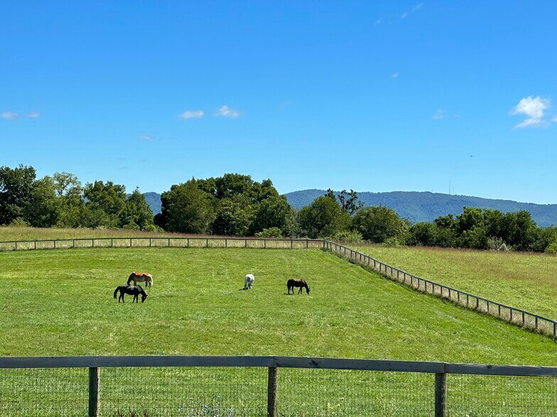 More Photos Of 3476 Fairview Rd, Lewisburg Specialty For Sale