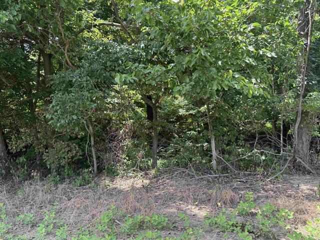 More Photos Of Co 150 N rd, Hazleton Land For Sale