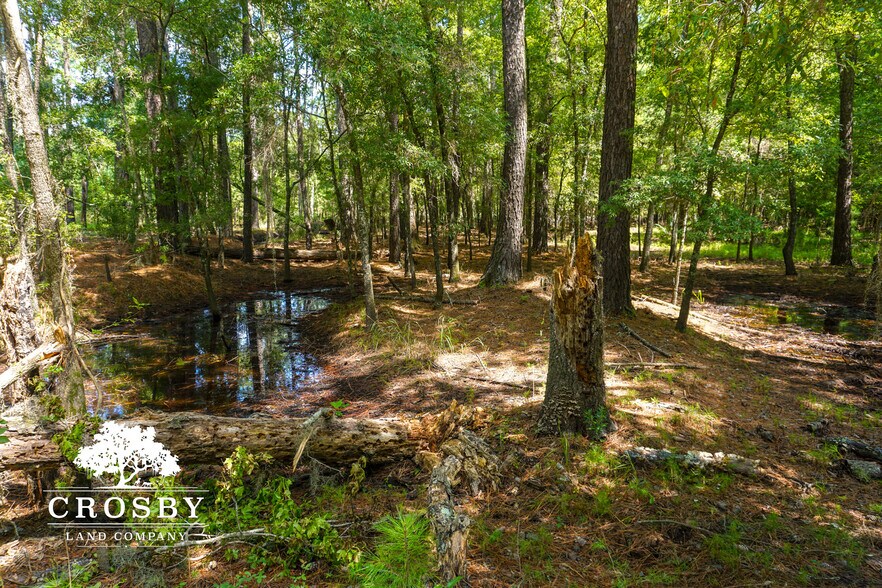 More Photos Of 3009 Lowcountry Drive, Ridgeland Land For Sale