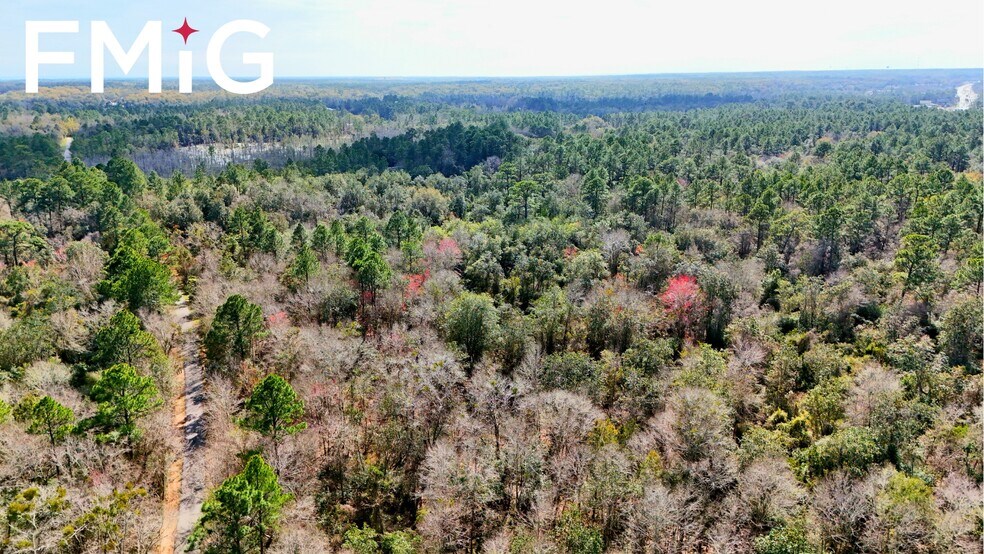 More Photos Of 6593 Caroline St, Milton Freestanding For Sale