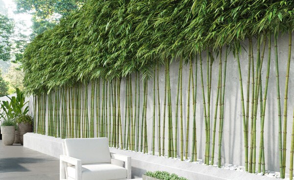 More Photos Of 615 E Ocean Blvd, Long Beach Land For Sale