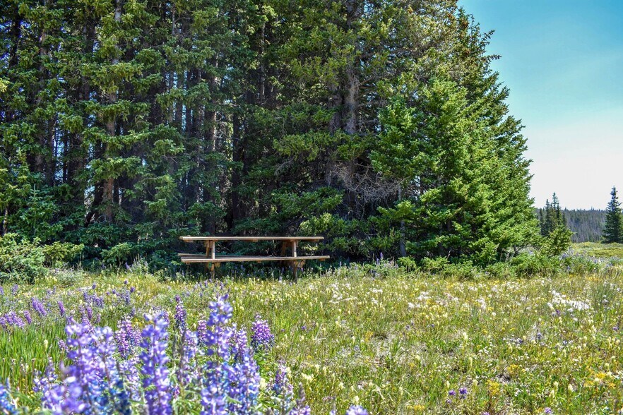 More Photos Of 11 Brooklyn Lake Road, Centennial Land For Sale