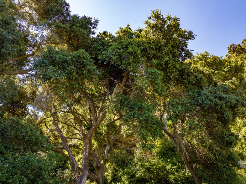 More Photos Of 7200 Highway 1, Lompoc Land For Sale