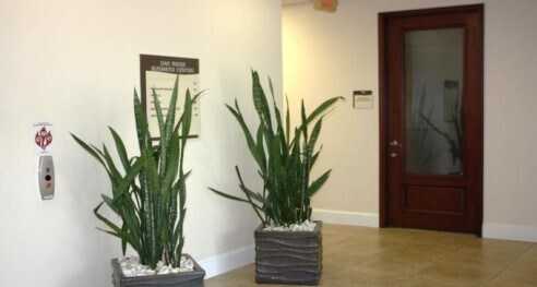More Photos Of 26010 Oak Ridge Dr, Spring Office For Lease