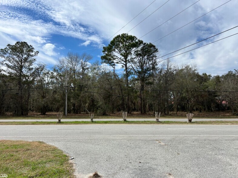 More Photos Of 3855 Darien Hwy, Brunswick Land For Sale