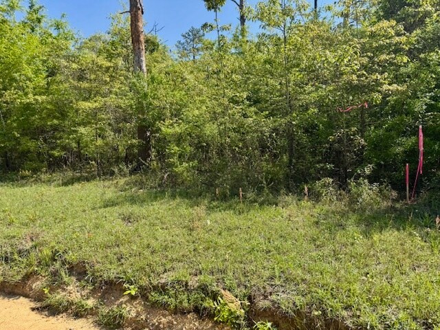More Photos Of 000 Tanglewood Trail, Georgetown Land For Sale