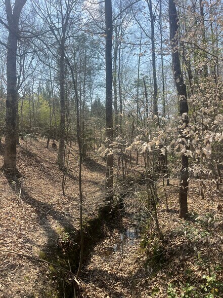 More Photos Of Healing Acres Ln, Carthage Land For Sale