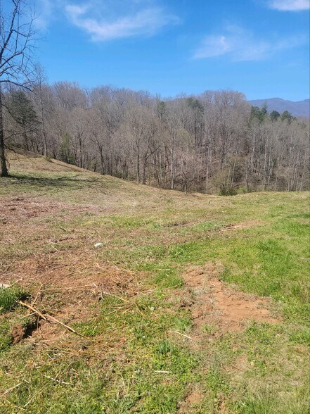 More Photos Of 174 Walter Ashe Rd, Sylva Land For Sale