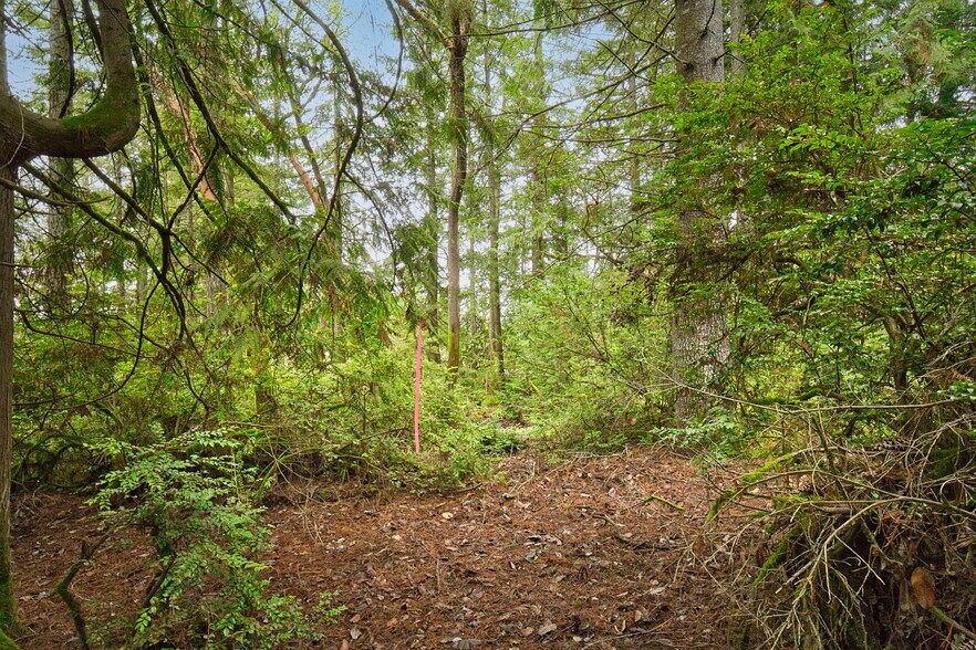 More Photos Of 00 Dickey Rd, Silverdale Land For Sale