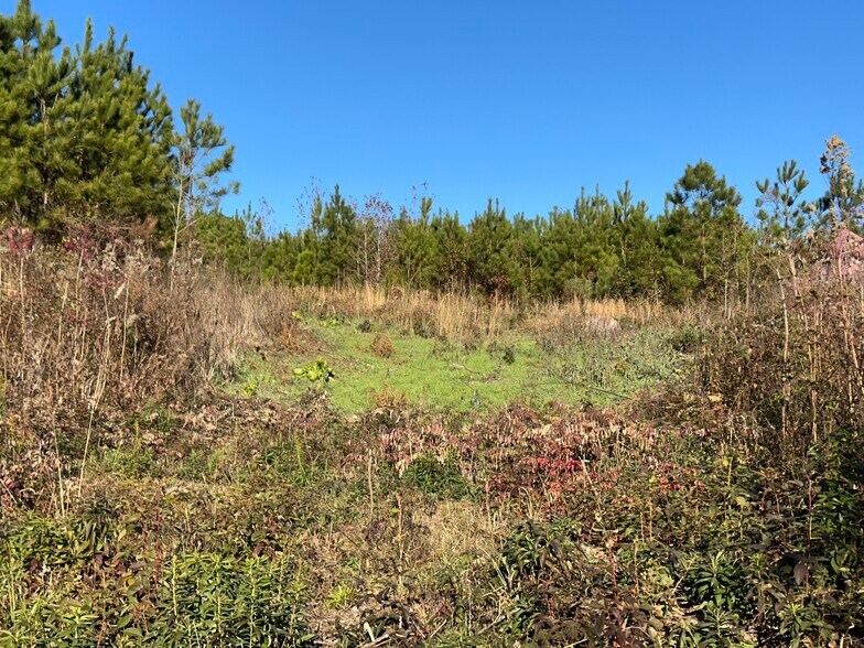 More Photos Of 0 Industrial Park dr, Wilsonville Land For Sale