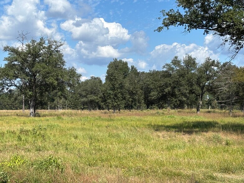 More Photos Of 1000 Radcliff Rd, Saraland Land For Sale