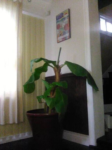 More Photos Of 2038 Grant Ave, Philadelphia Specialty For Sale