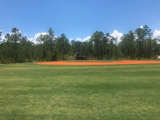 More Photos Of 18125 Dykes Rd, Estero Land For Sale