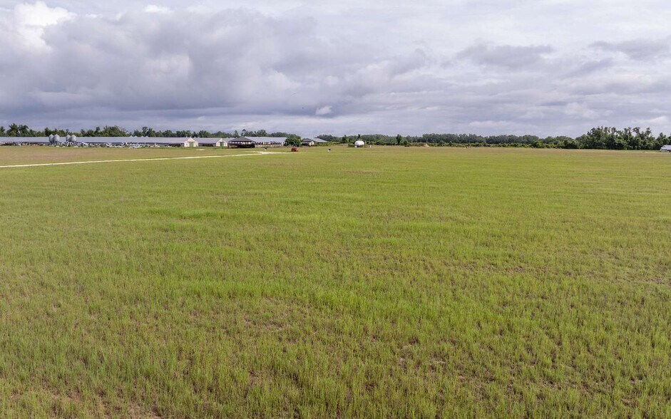 More Photos Of 1083 SW County Road 351, Mayo Land For Sale