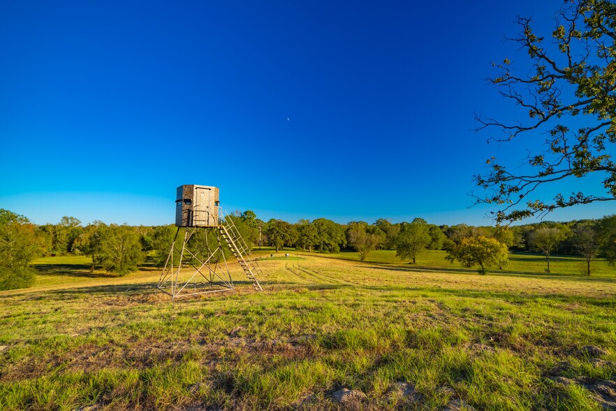 More Photos Of 391 Farm to Market 1519, Scroggins Land For Sale