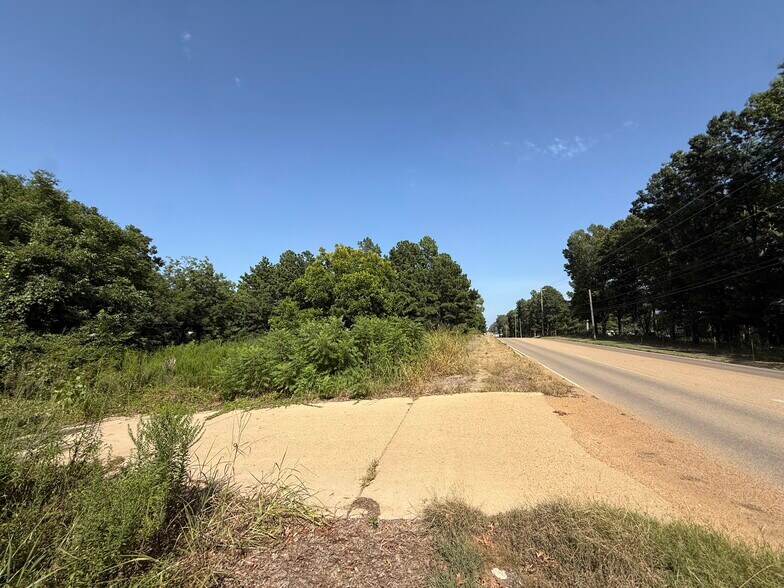 More Photos Of Blackjack Road @ Wingo Way, Starkville Land For Sale