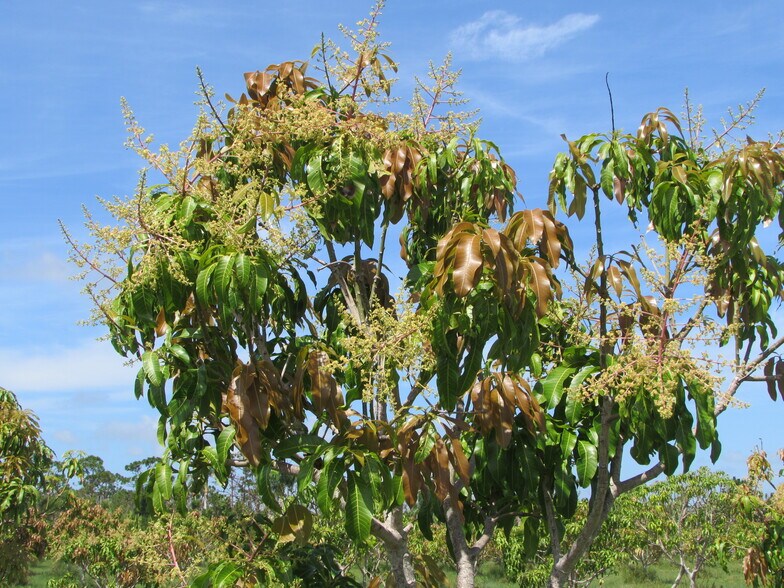 More Photos Of 9000 Stringfellow Rd, Saint James City Land For Sale