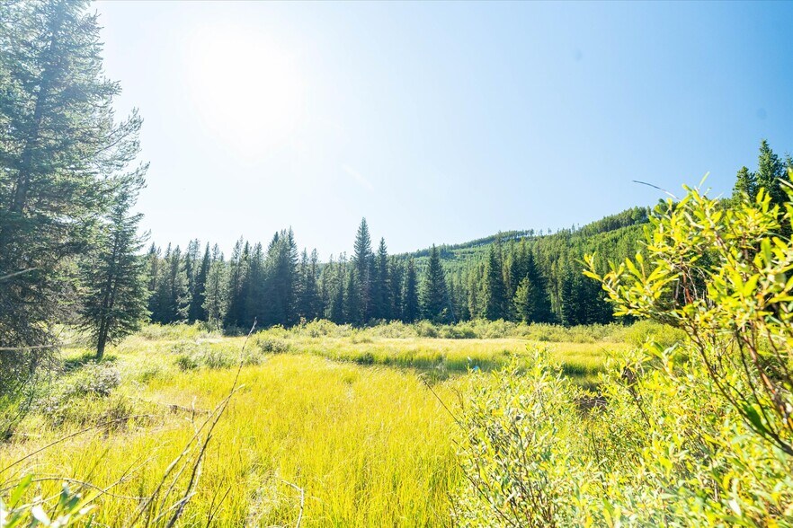 More Photos Of Nhn Logan Creek Road, Kila Land For Sale