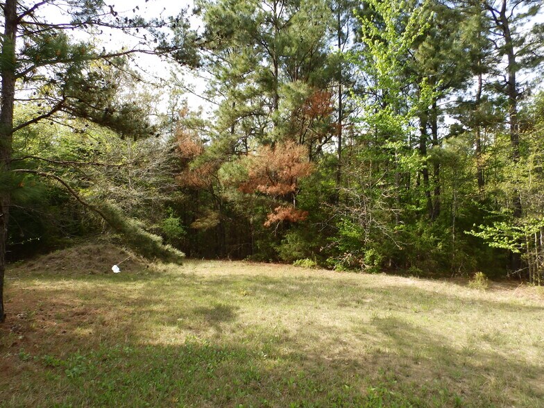 More Photos Of 19546 Tx-155, Flint Land For Sale