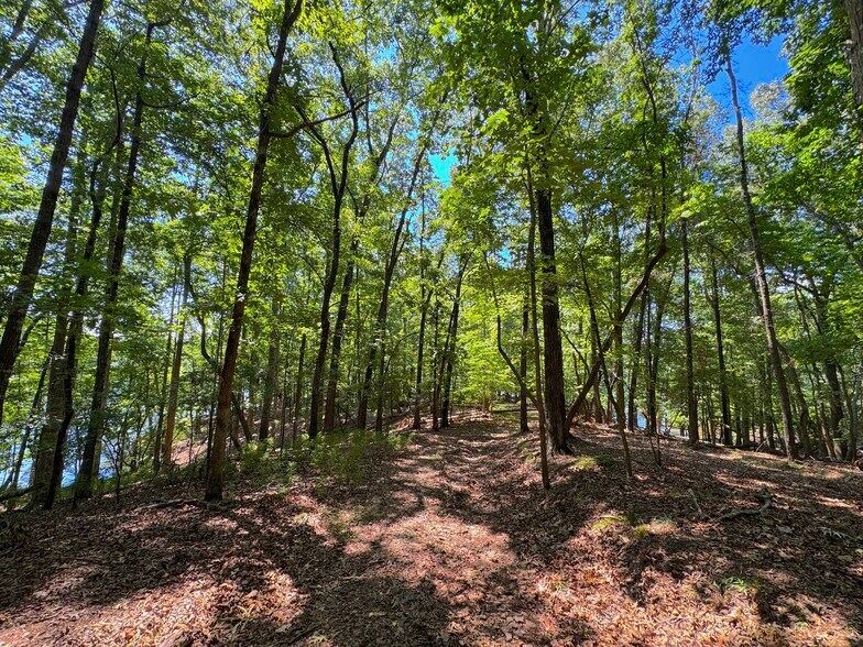 More Photos Of 3475 Cook Rd, Gainesville Land For Sale