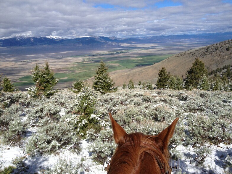 More Photos Of 3750 Pahsimeroi Rd, May Land For Sale