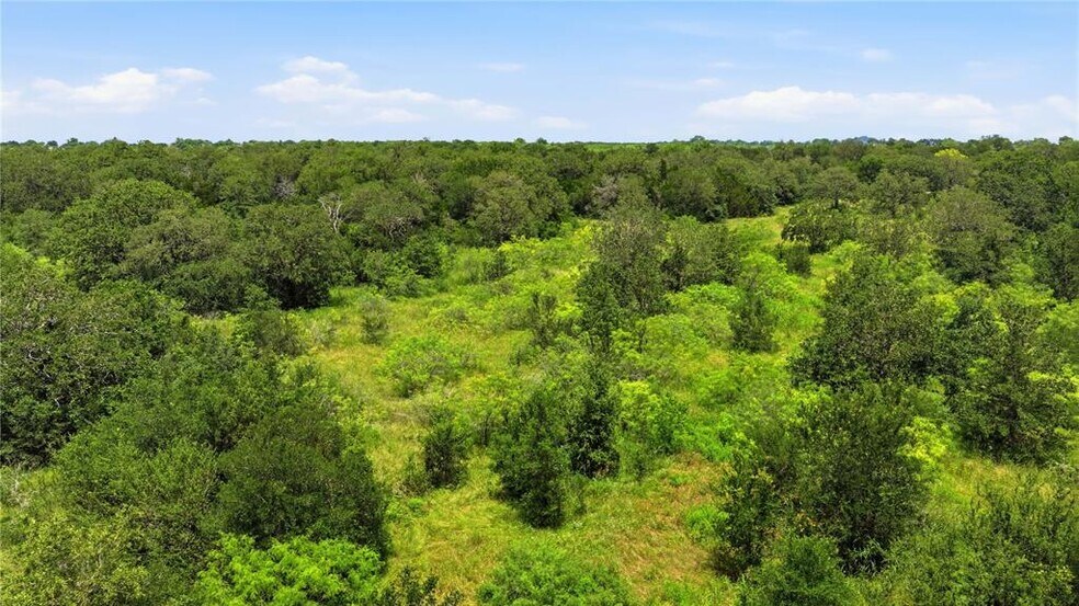 More Photos Of 10312 Parsons rd, Manor Land For Sale