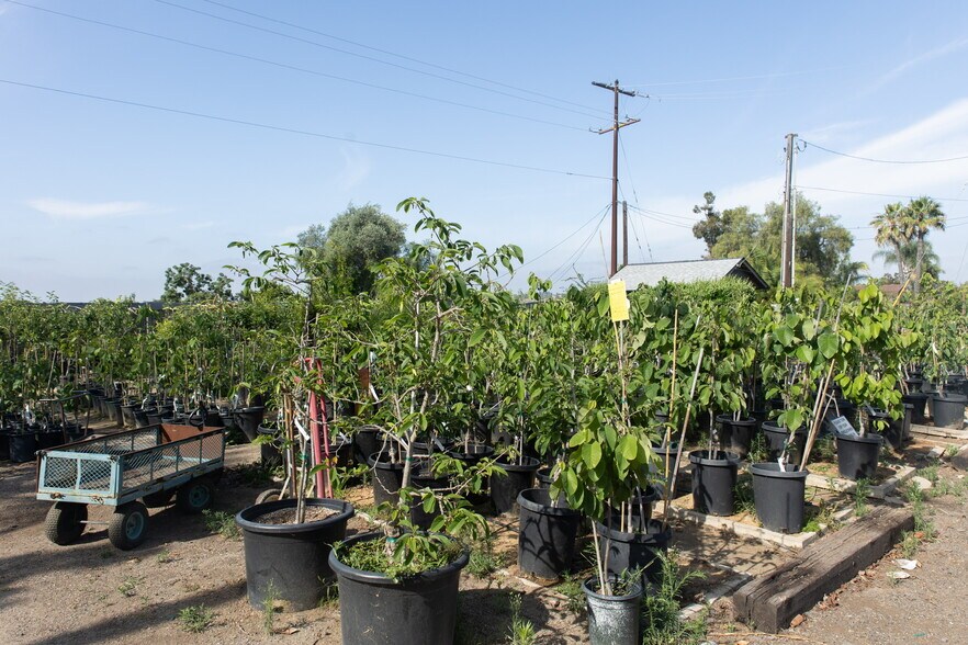 More Photos Of 3129 Reche Rd, Fallbrook Land For Sale