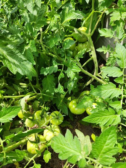 More Photos Of 6939 SW 1 Federal Rd, Lamont Land For Sale