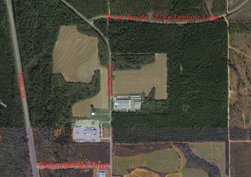 More Photos Of 31146 County Road 49, Loxley Land For Sale