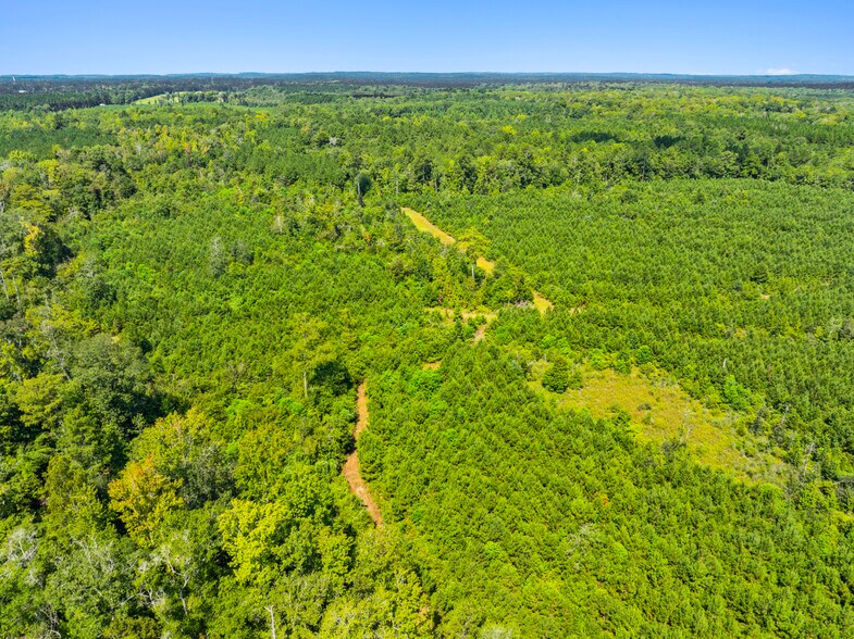More Photos Of 7471 Highway 155, Saline Land For Sale