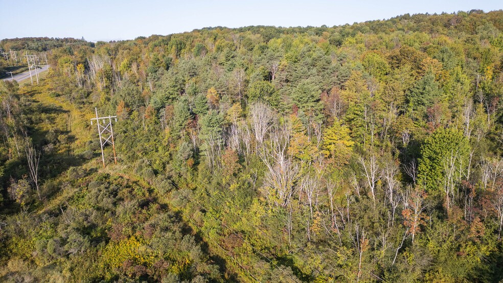 More Photos Of 219 Mudge rd, Delanson Land For Sale