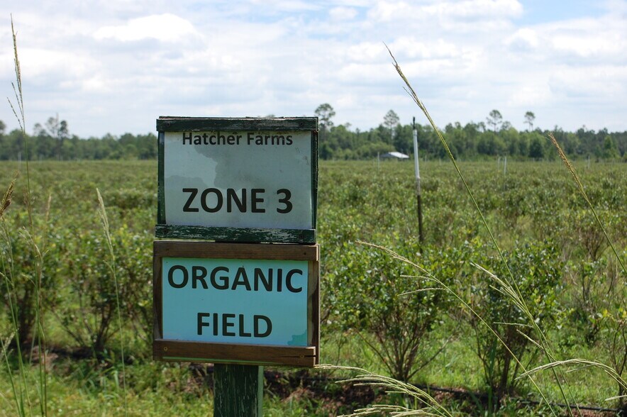 More Photos Of 18811 SE 243rd St, Hawthorne Specialty For Sale