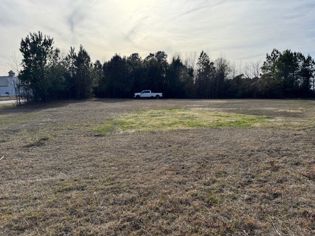 More Photos Of 100 Haws Run Rd, Jacksonville Land For Sale