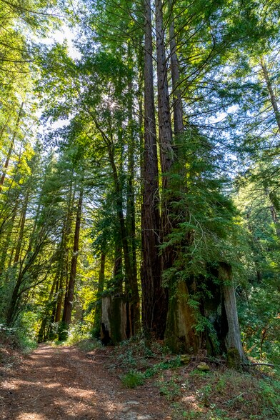 More Photos Of 2372 McKenzie Creek rd, Scotts Valley Land For Sale
