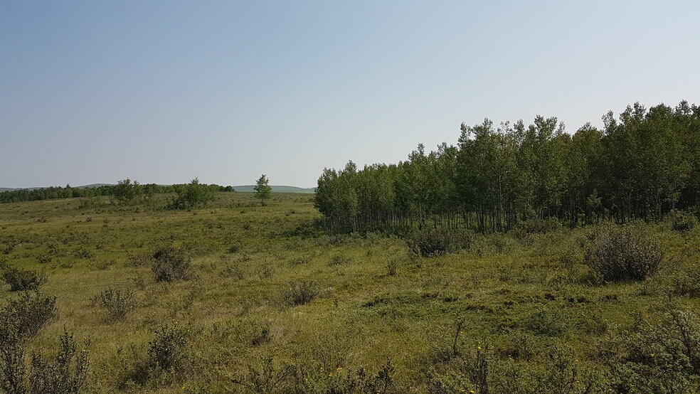 More Photos Of 1 Bow River, Rocky View No 44 Land For Sale