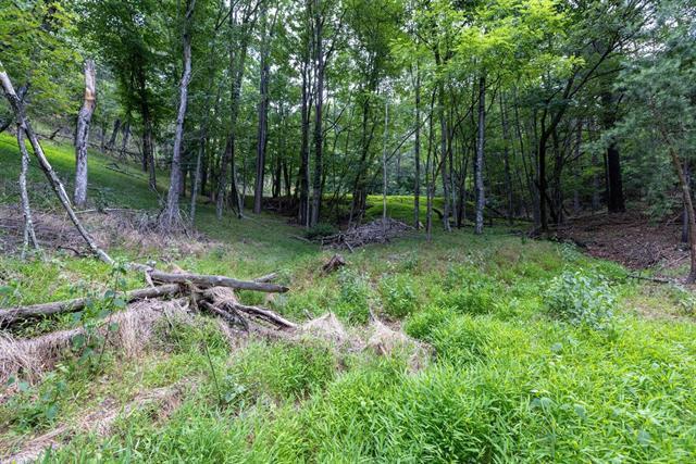 More Photos Of 22590 Criders Rd, Criders Land For Sale